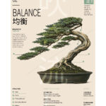 Bonsai Balance — Gabriele Saveri
