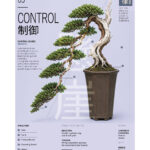Bonsai Control — Gabriele Saveri