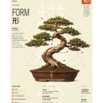 Bonsai Form — Gabriele Saveri