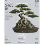 Bonsai Space — Gabriele Saveri