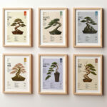Bonsai Art Less Complete Series A3 — Gabriele Saveri